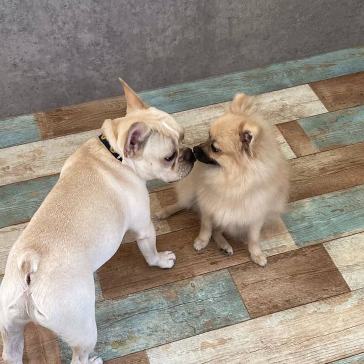 91d367d5 f9e0 4c2a b6c3 9b22c63f6dae 1622554464309