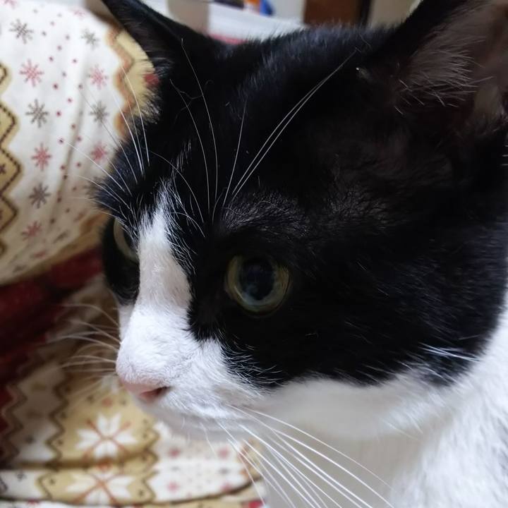 91d39e45 a726 4fcf b8e6 279ae19c3250 1565300831632