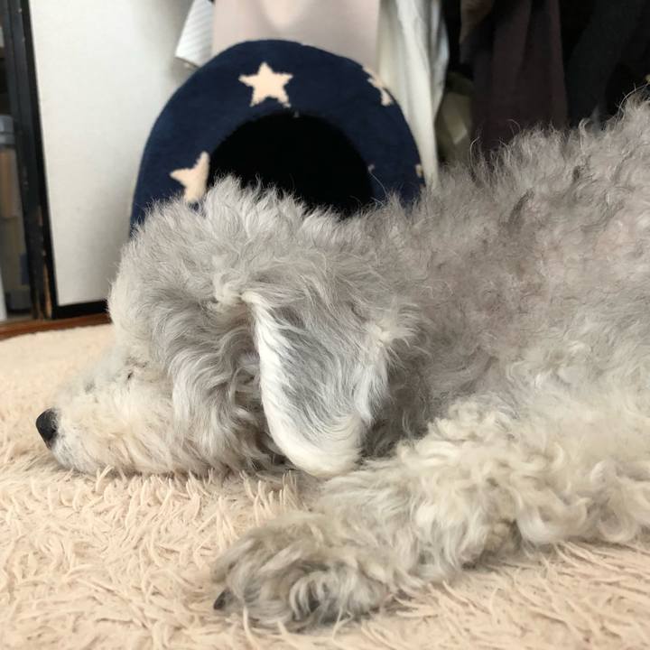 91d3f9bd 19b7 4f77 9e33 69ca0e7ae8f7 1644796498924