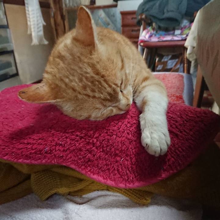 91d3fd65 309e 43f5 893c ce20dc2790f0 1555538706594