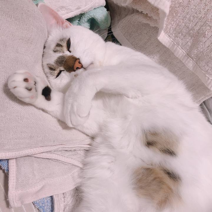 91d40123 acf0 459a 98eb 29f698c5592a 1574237192301