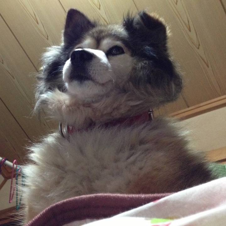 91d41bd7 22fa 4e70 9771 a7d781e54489 1618706829746