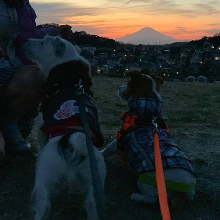 91d43c09 ab01 400b 9195 ee4e625b706f 1673429599089