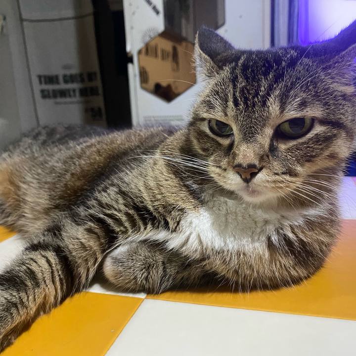 91d44b5d d2c2 42c8 b293 9a26ecdcf05f 1758059720007