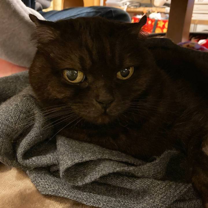 91d44d33 171e 4682 be6f 432ed33bf9e0 1608913679748