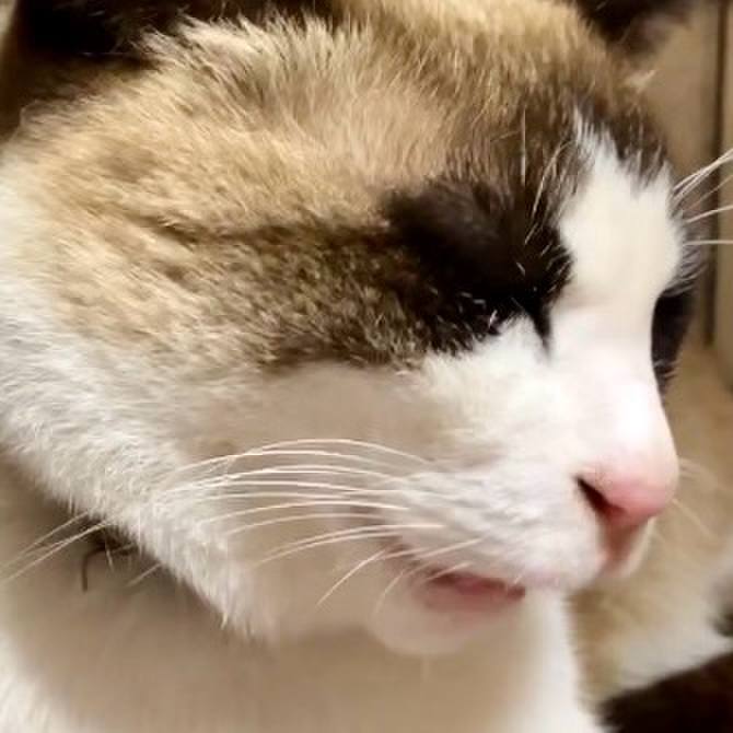 91d44dd2 1d8a 4187 bd2a 3fca4326d350 1742212562258