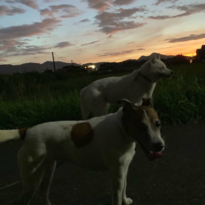 91d45fec 65b4 4abd 8ef3 70c9137d39d3 1565004837207