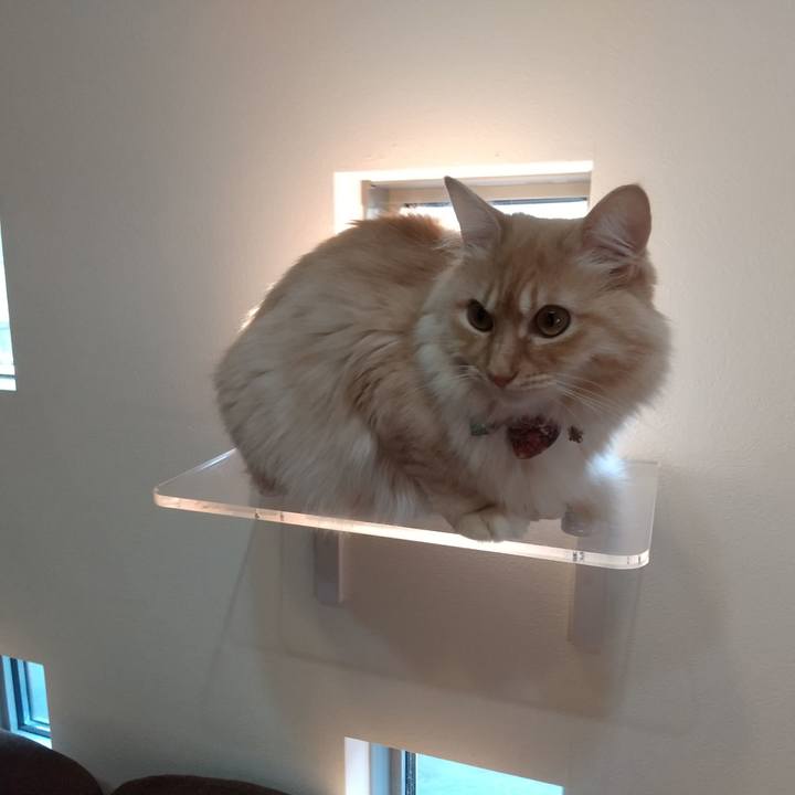 91d4835a 621a 45ff b822 b6a37aac8e60 1644967424341