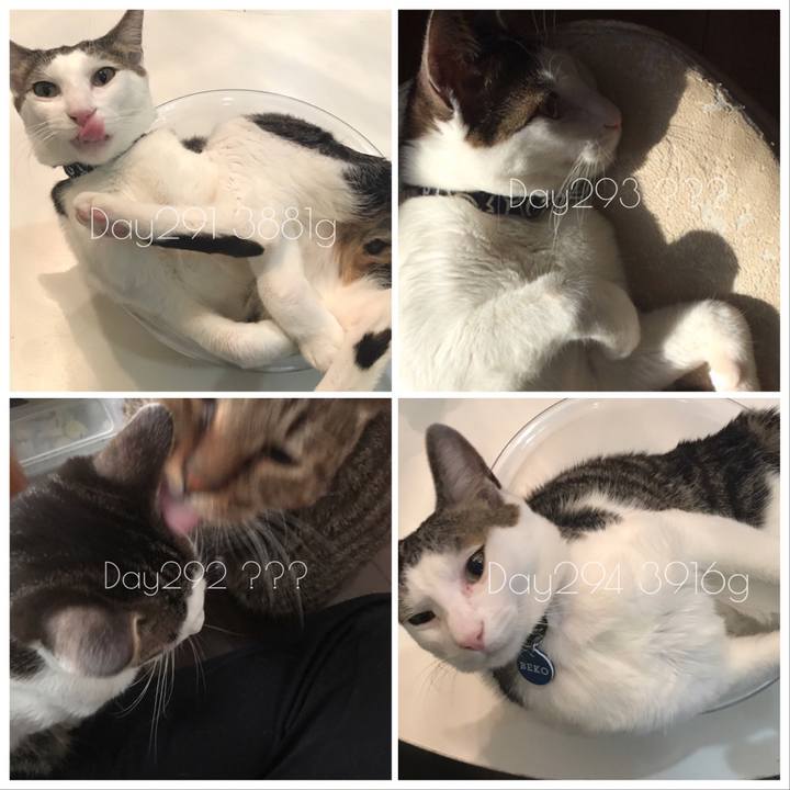 91d4888e b5b2 4849 90b5 0e4804a04351 1523793807897