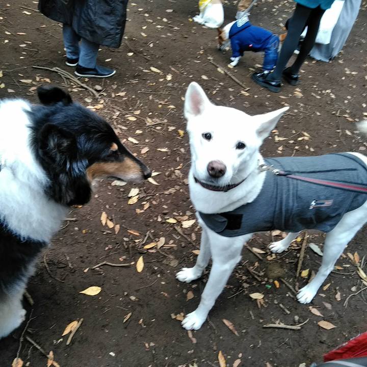 91d4ac30 ac91 4bbc 9d8b 996ceaba81d7 1509201525488