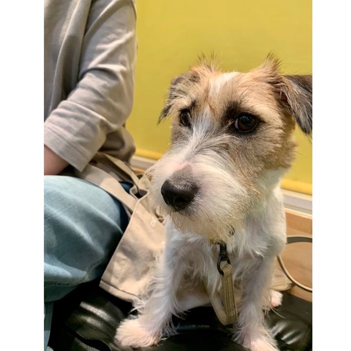 91d4b9a6 40df 47fd a3b2 466b88eb638c 1601118707966