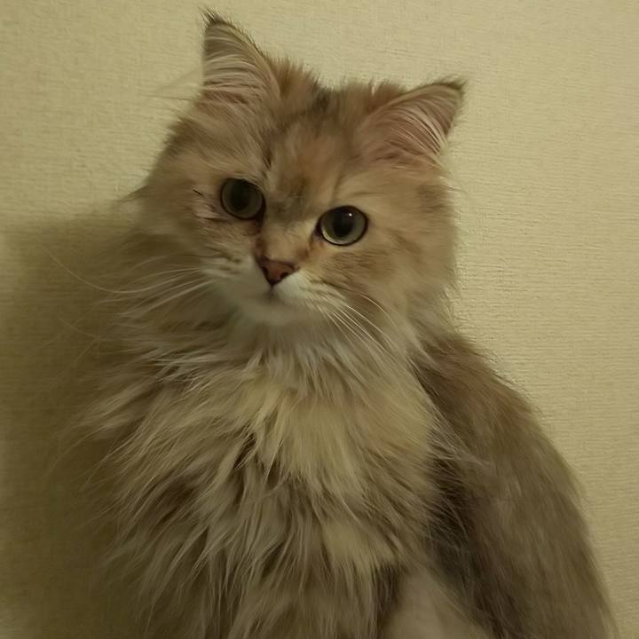 91d4f7f2 c2ff 4d3c 9b57 835c9b86d916 1596860033497