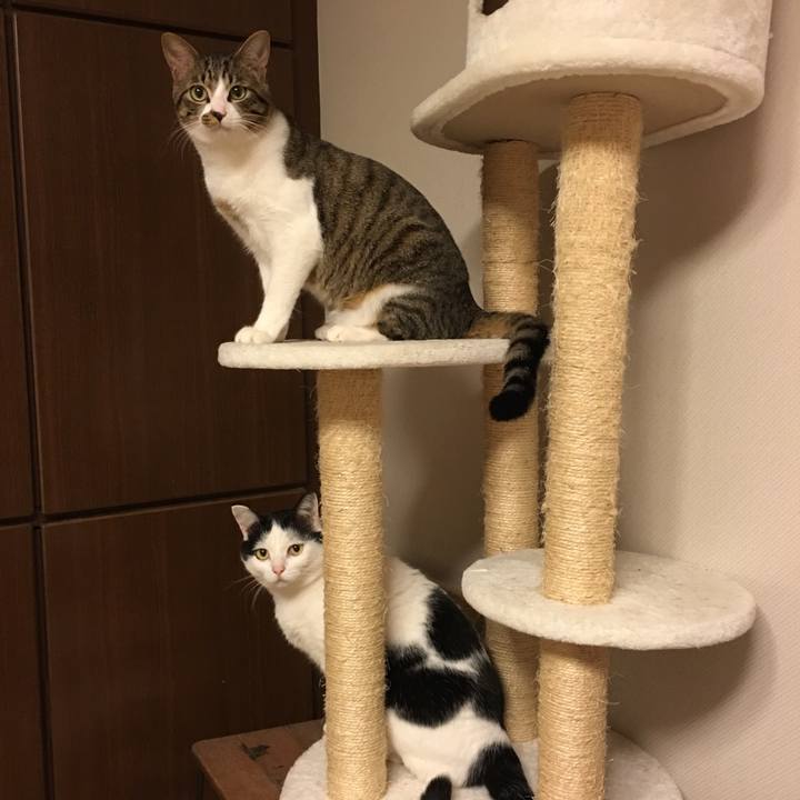 91d50071 e6d4 4f76 8253 c3e9bc473bc6 1520343725307