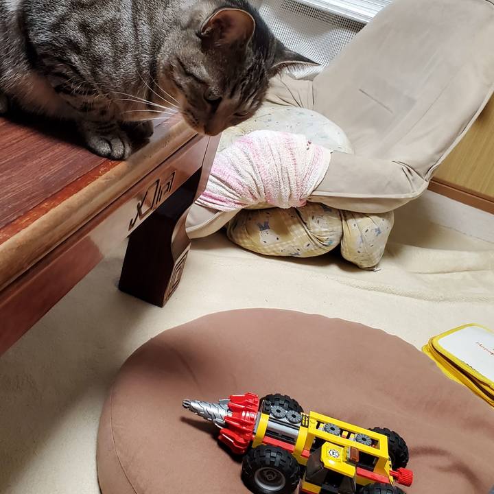 91d518df 91f0 4923 9923 46d0d971930a 1704002984211