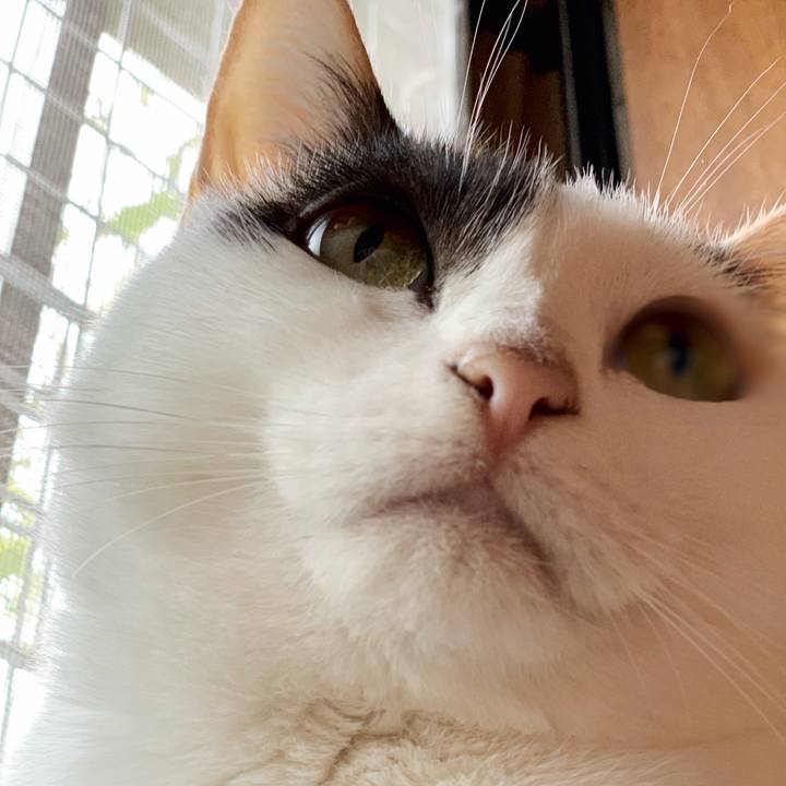 91d53e12 55b2 4678 944a 4c714de83d39 1540865209045