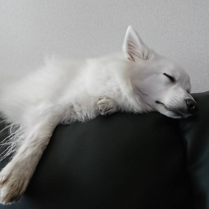 91d581ff 9cdf 4663 8a6e f7907d62c257 1517376925406