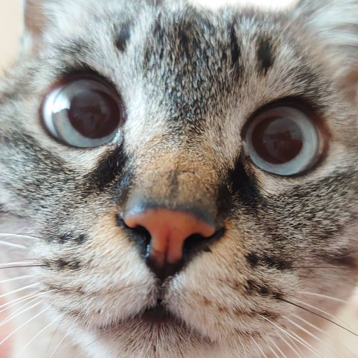 91d58ef4 caba 4679 848c ec8bf86ce268 1644719009238