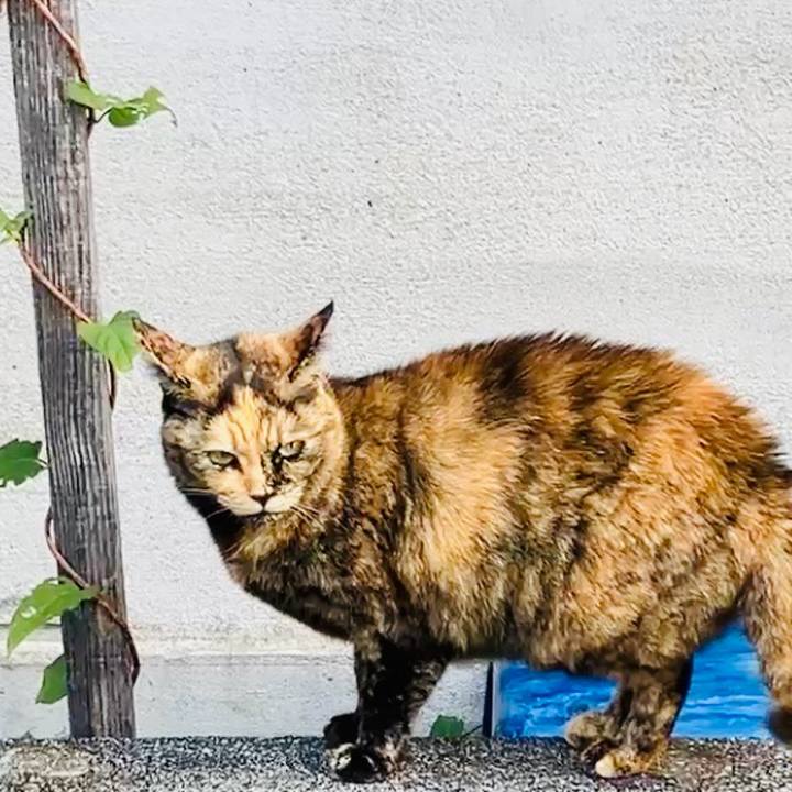 91d5bfd0 f044 477e bc61 74ca448e5ac9 1732072237286