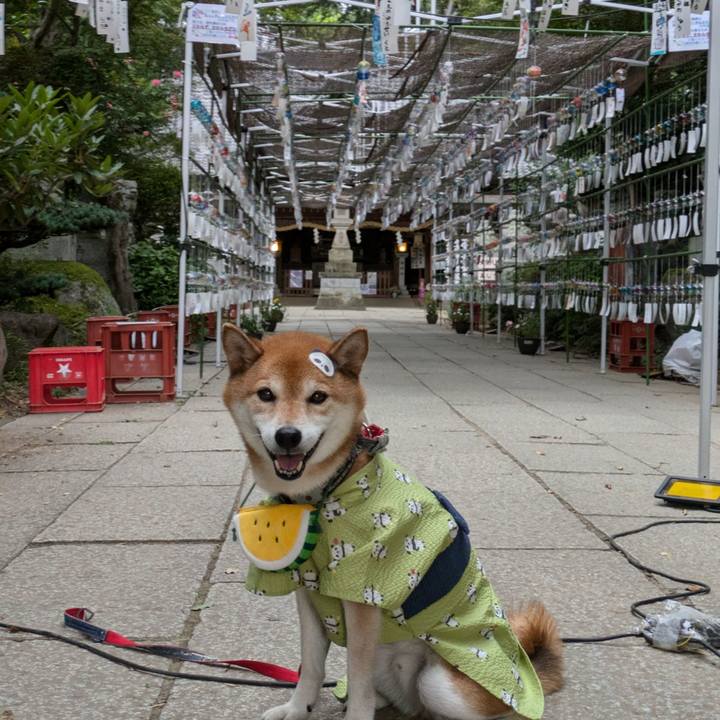 91d5bfe0 cbfd 4b7f a94e 3243db87fce0 1723067739893