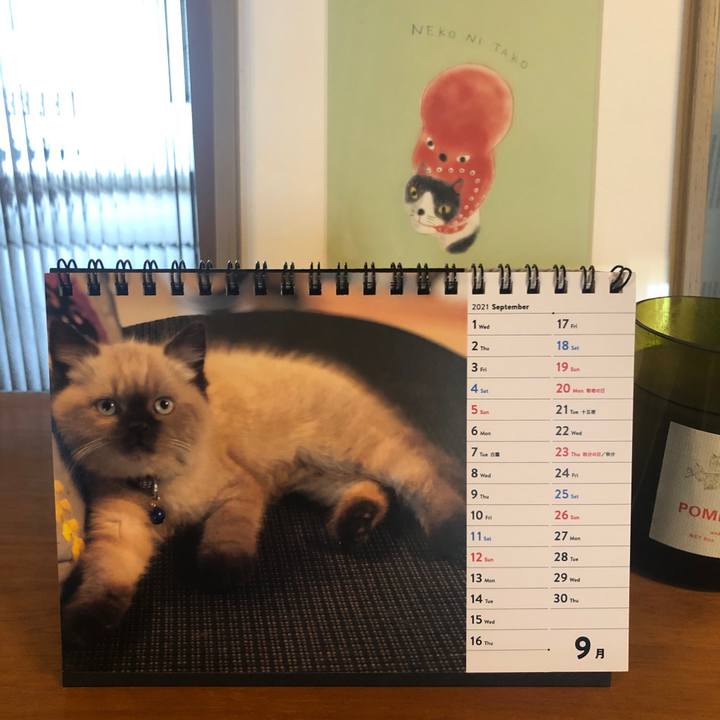 91d63363 e8e6 435a 92a4 a11c6ac80e73 1630450979993