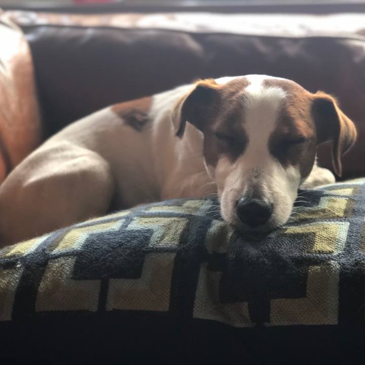 91d66673 cd88 4ddb 91ac b7dd786c8a8b 1562891538573