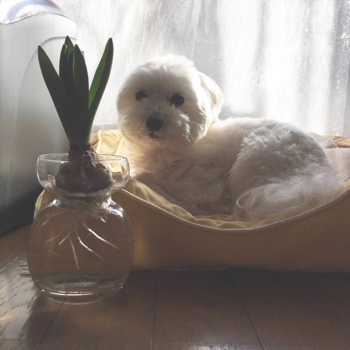 91d68fad cec0 45d0 83e3 96f5c04193a0 1517891517280