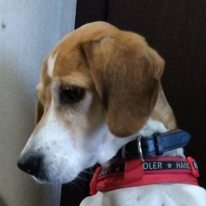 91d6960c aaf2 4ab7 a28f e04be5106ebb 1708000300581