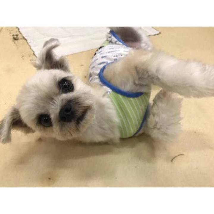 91d6a61e 1055 474c 9f51 5ee01290c7bb 1539984404953