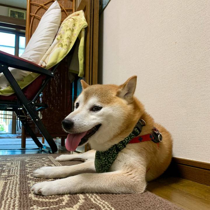 91d6d0cc 9d56 4117 8799 40b0157857ec 1691139305037