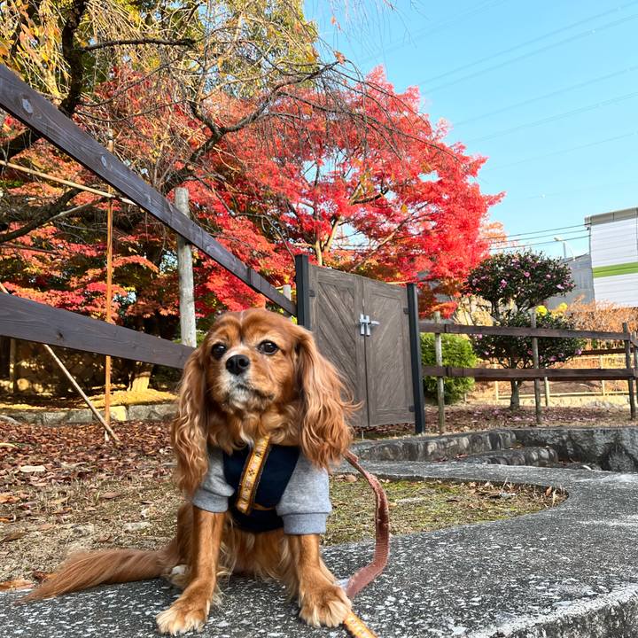 91d6d32d 8542 45b6 884e 0186bcdc8ae6 1668818034281