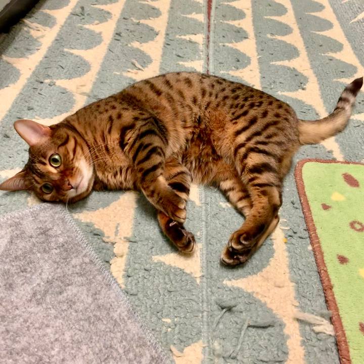 91d6decf f4b1 4319 99e3 240652f35923 1554328212182