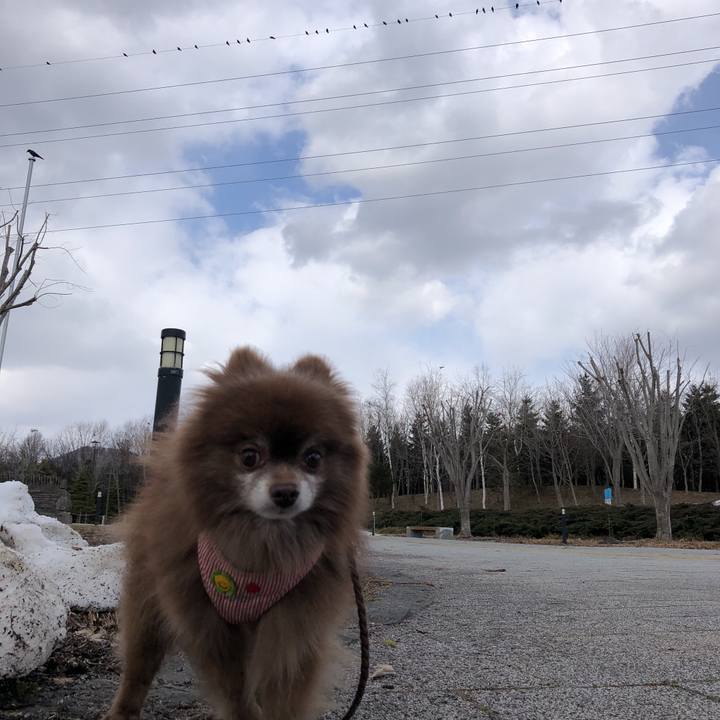 91d6f16c af83 40ac bb90 4190cb19a936 1616475091665