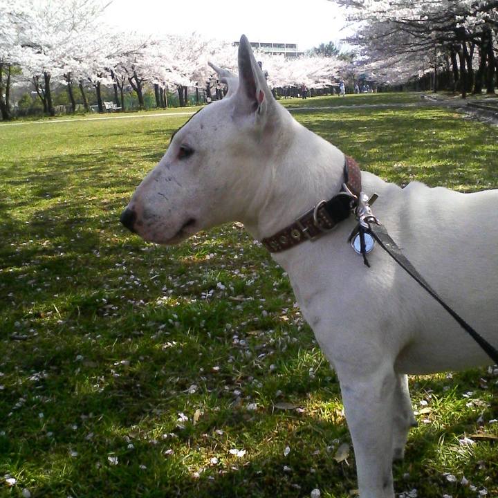 91d6f5b9 3d2f 4470 9f16 57b2b06c7cd5 1522297957418