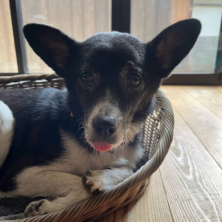 91d70686 0c32 41b0 bd91 30cb3e200c0d 1690934907438