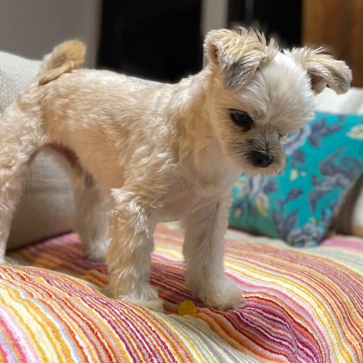 91d7418c f98f 4d85 8150 68a37fbcb827 1577010003489