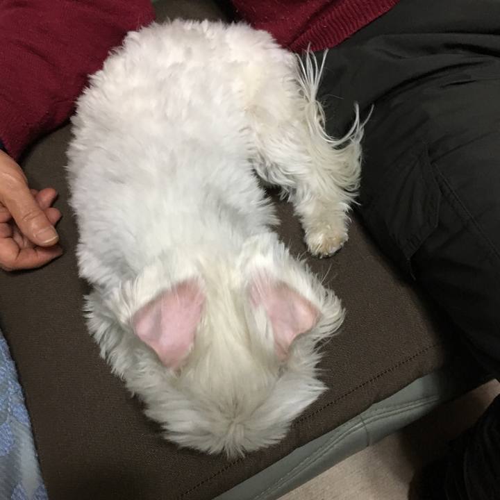 91d74964 cb8d 4454 b047 ae8324e60744 1554466531522