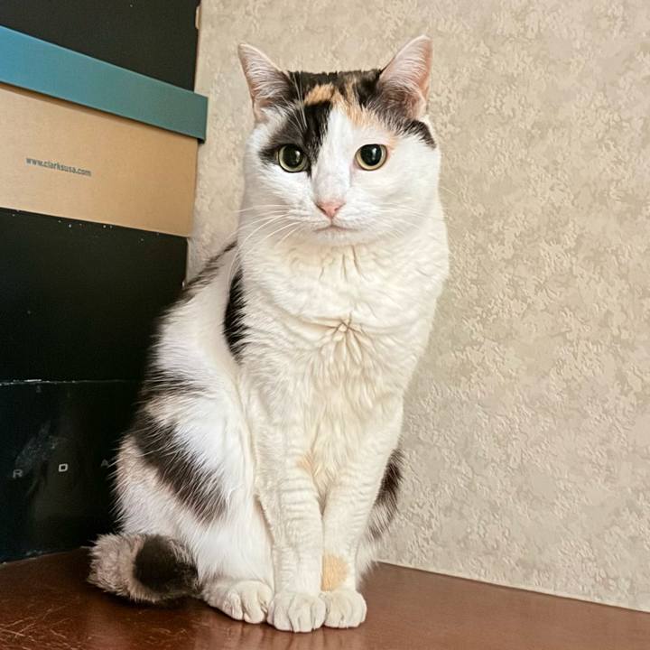 91d749b7 f839 4530 844f 48d47cc388db 1742695069652