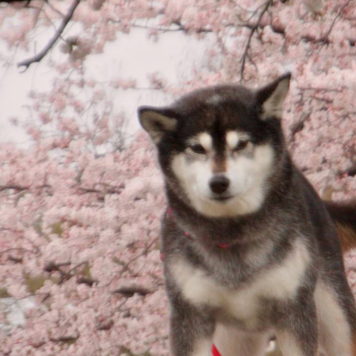 91d75606 2f6d 44fd 9f3b 0bf4c9972f50 1712964005544