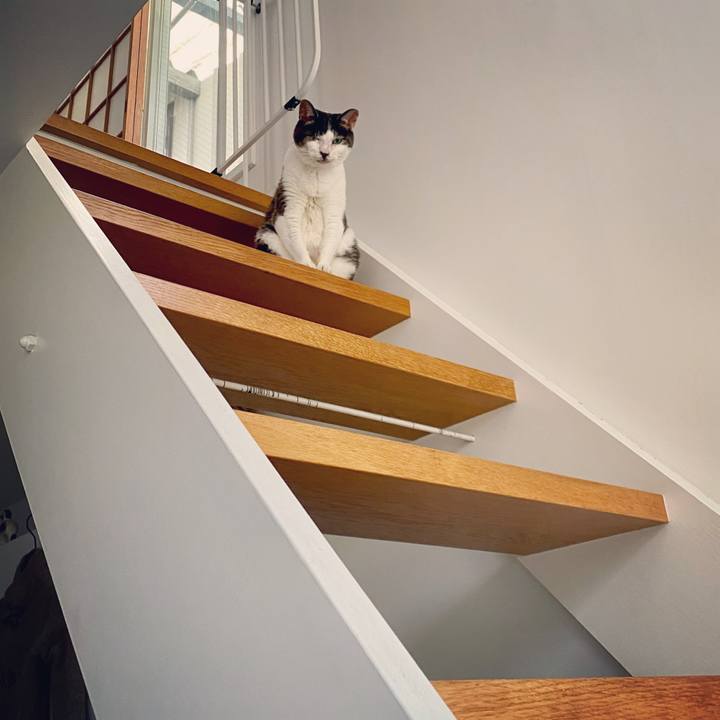 91d75986 b97c 4c22 a637 2143015fab11 1623577278441