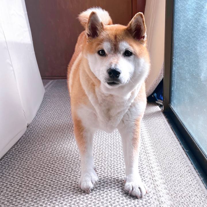 91d78ae7 677d 4a17 adc9 f2160c2b0593 1707908707033