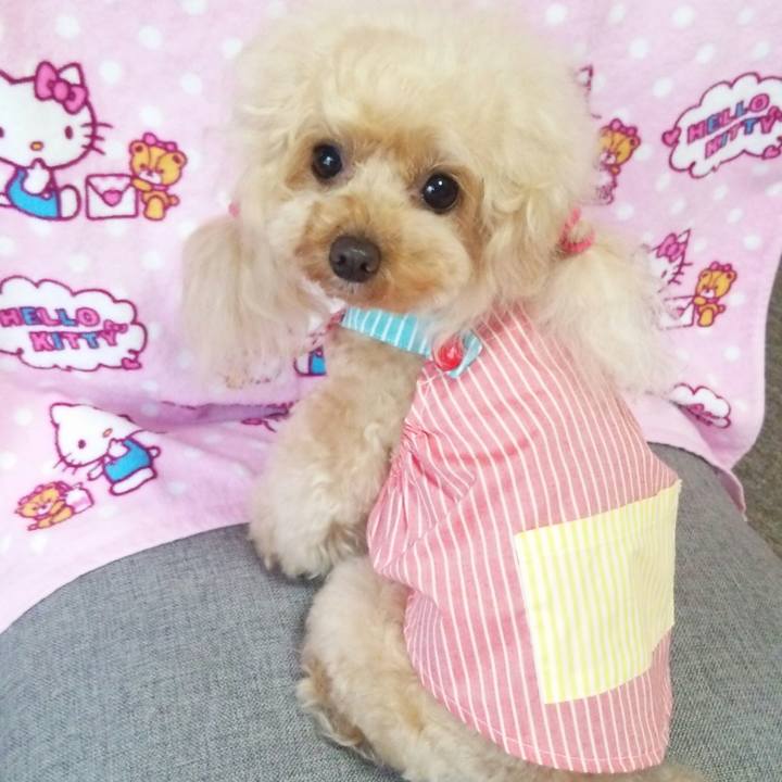 91d792bf a535 461b ada9 25cccca94608 1558588420442