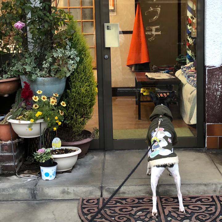 91d7dec4 cfd4 493e a6a5 5487363f74e1 1514589690629