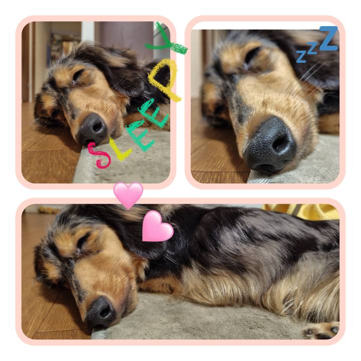 91d7f43f 6e1b 44b3 854f bbf41a1f7f7a 1719270037546