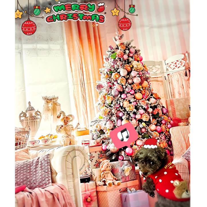 91d83055 1e4a 4fae 82f2 42fc3b6dd759 1734735424847