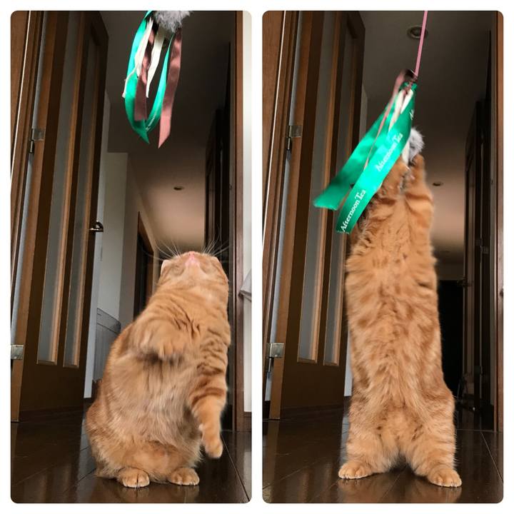 91d85fbb fd39 49b6 9f97 56ea0316691c 1527846851638