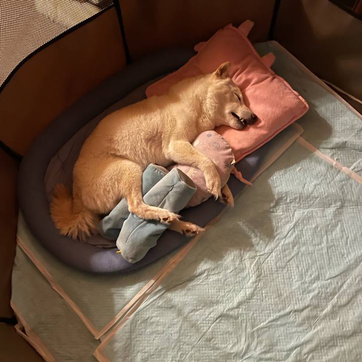 91d8ab7e 5220 4214 a9ce e92ab04c0f7d 1654260394059