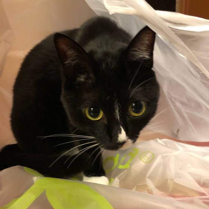 91d8d459 0932 4cd8 9c81 23fc948c8e04 1513204127348