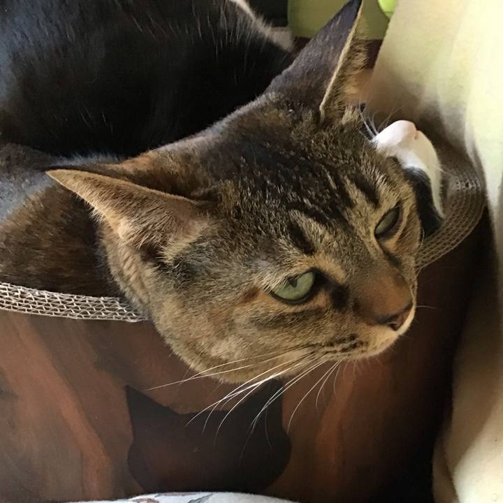 91d8e880 4e7a 4a16 abb4 4de75105392c 1707714697198