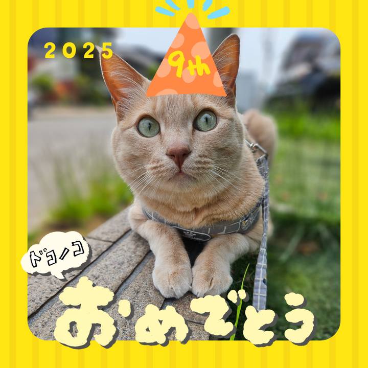 91d8f825 3b59 41e6 baf0 795375151561 1749209169047