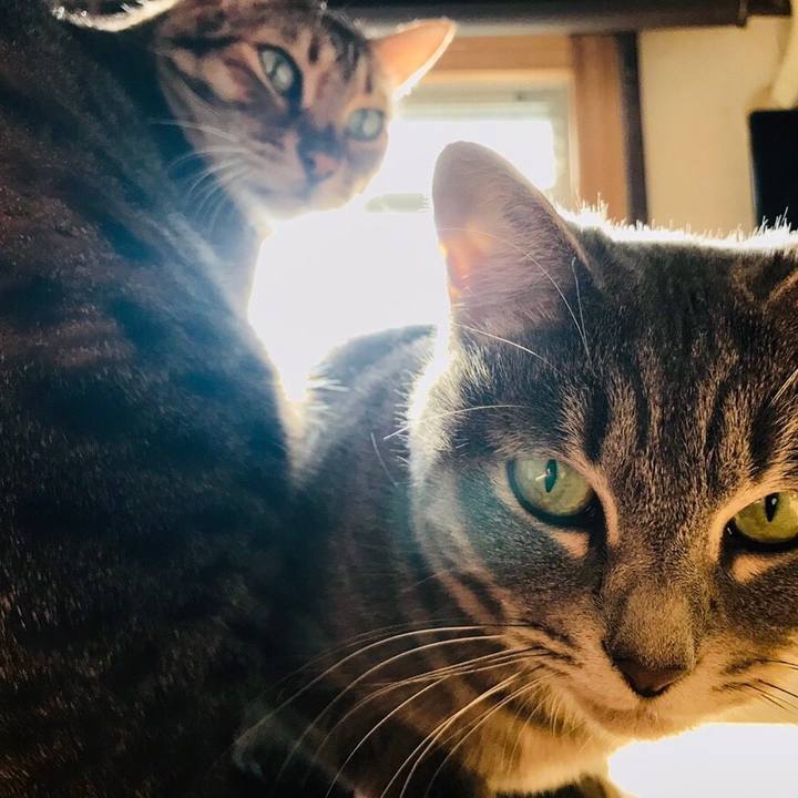 91d9081f 1c82 490d a6b2 52a5efe02900 1543203010995